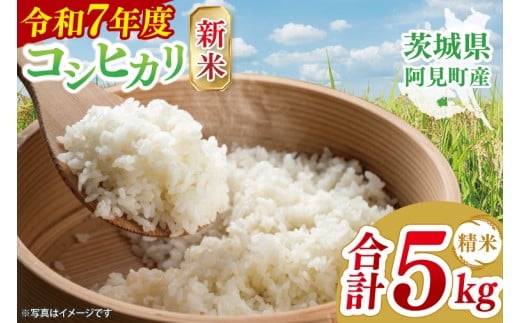 【先行予約】【10月初旬より順次発送】令和７年産 コシヒカリ 精米 5kg【新米 白米 ご飯 御飯 お米 こしひかり 茨城県 茨城県産 阿見町産】（26-02）