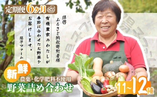 ＜6ヵ月定期便＞旬の野菜詰め合わせ11種~12種 | 野菜 定期便 季節の野菜 旬の野菜 新鮮野菜 産地直送 栽培期間中農薬不使用 有機 オーガニック フレッシュ セット 詰め合わせ サラダ 料理 炒め物 煮物 スムージー 旬 おいしい 安全 安心 お取り寄せ ギフト おすすめ 3回 6回 12回 世界農業遺産 埼玉県 所沢市