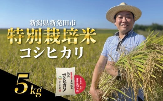 【11月発送】 新潟県産 特別栽培米 コシヒカリ 5kg 令和7年産 こしひかり 特栽米 米 新米 月岡 温泉 お米 こめ ご飯 ごはん おいしい 新潟米 新潟 新潟県 米 新発田産 新潟産 朝食 昼食 夕飯 炊きたて 精米 watasho004_202511