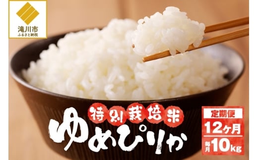 【先行予約】令和7年産米 北海道滝川産 特別栽培ゆめぴりか 10kg 12ヵ月連続 ※10月中旬・新米からお届け｜北海道 滝川市 米 お米 白米 精米 ゆめぴりか ユメピリカ 特別栽培 定期便 連続お届け