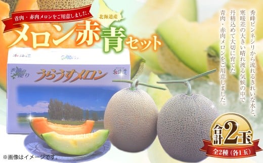 メロン 赤・青セット (1玉 約1.6kg) [2026年7月上旬〜7月下旬迄順次発送予定] 果物 フルーツ めろん 2玉 詰め合わせ セット 赤肉 青肉 北海道 浦臼町