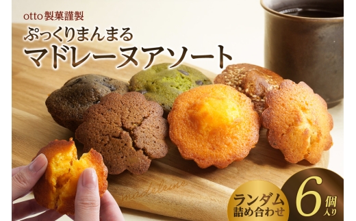 otto製菓謹製 ぷっくりまんまるマドレーヌアソート6個