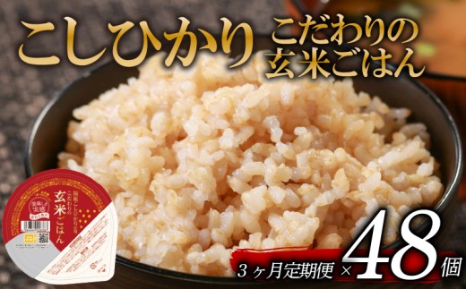 定期便 3回 こしひかり 玄米ごはんパック 120g 48個 玄米 米 お米 ごはん ご飯 こめ パックライス パックご飯 パックごはん ご飯パック ごはんパック パック ライス 備蓄 保存 非常 防災 電子 レンジ 温めるだけ レンチン 簡単 健康 ダイエット 美容 ヘルシー 48 48食 レトルト インスタント おいしい 人気 おすすめ 大阪 松原 2261660 - 大阪府松原市