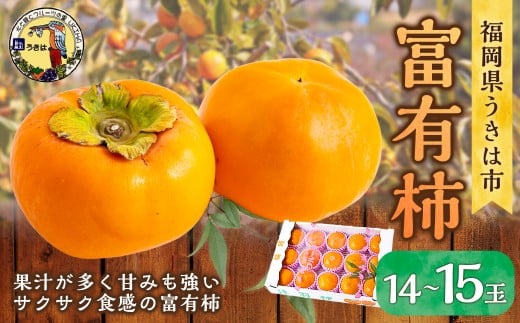 【先行予約】道の駅うきは 富有柿 14玉から15玉 2025年11月中旬から11月下旬 出荷予定