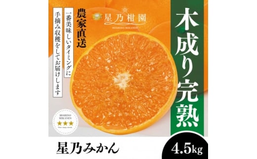 ＜三つ星ブランド＞星乃みかん(4.5kg)＜B45-90＞【1582444】