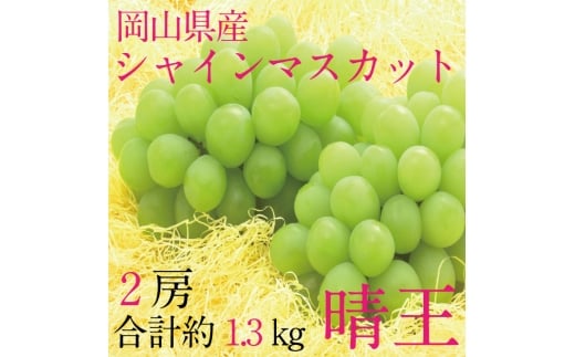 [HS]ぶどう 2025年 先行予約 9月・10月発送 シャインマスカット 晴王 2房（合計約1.3kg） ブドウ 葡萄 岡山県産 国産 フルーツ 果物 ギフト