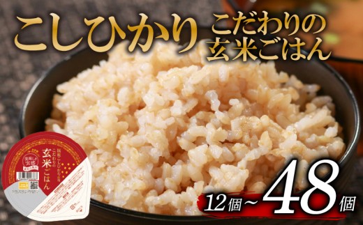 選べる 回数 こしひかり 玄米ごはんパック 120g 12個-48個 1回-6回 定期便 玄米 米 お米 ごはん ご飯 こめ パックライス パックご飯 パックごはん ご飯パック ごはんパック パック ライス 備蓄 保存 非常 防災 電子 レンジ 温めるだけ レンチン 簡単 健康 ダイエット 美容 ヘルシー 12 24 36 48 おいしい 人気 おすすめ こしひかり 大阪 松原