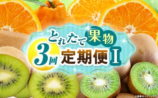 とれたて果物 3回定期便I 果物 フルーツ 果物定期便 フルーツ定期便 定期便キウイ デコポン濃厚 旬の果物 定期 人気 おすすめ 贈答 贈り物 青果物 糖度 香川県 _mk165-t073 2246296 - 香川県三木町