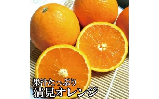 ＼光センサー選別／ 【農家直送】果汁たっぷり！清見オレンジ 約5kg  有機質肥料100%　 サイズ混合　※2026年3月上旬より順次発送予定（お届け日指定不可）【nuk112B】 