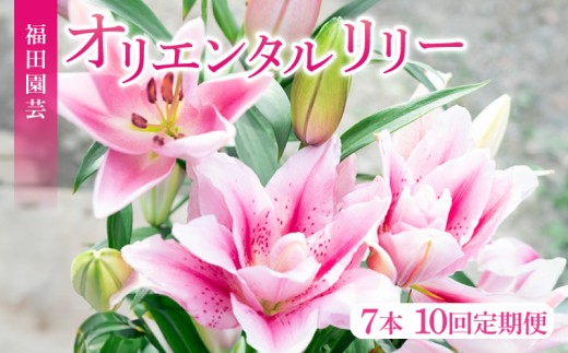 ユリ（オリエンタルリリー）7本 10回定期便