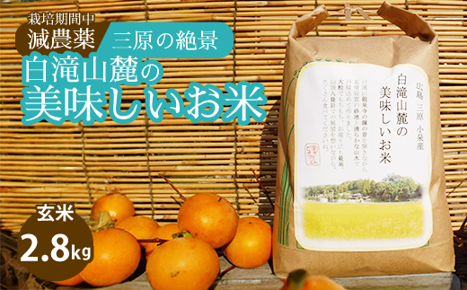 ≪栽培期間中減農薬≫ 三原の絶景白滝山麓の美味しいお米 玄米2.8kg 2025年10月発送予定 瀬戸内ビオファーム ご飯 米 おこめ 002034