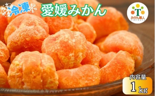 冷凍愛媛みかん 500g×2袋 冷凍みかん みかん ミカン 愛媛みかん 蜜柑 柑橘 かんきつ 冷凍ミカン 冷凍柑橘 アイス スムージー シャーベット みかん職人武田屋 愛媛県 愛南町