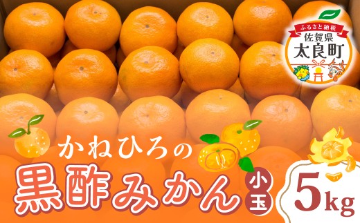 かねひろの黒酢みかん(小玉)