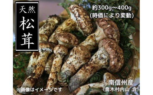 7-F01　松茸 766777 - 長野県喬木村