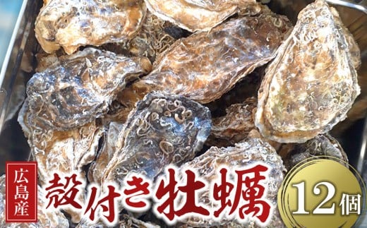 広島県産 草津かき(殻付き) 12個