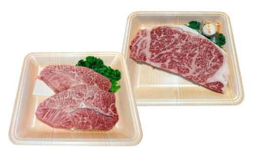 くまもと 黒毛和牛 和王 2種(サーロインステーキ・ミスジステーキ) 食べ比べ セット 計約350g(各1枚)[菊池地域農業協同組合] [AYBR036]
