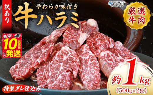 ＜秘伝の特製タレ仕込み！やわらか味付き 牛ハラミ 約1kg（500g×2）＞ 訳あり はらみ ハラミ 赤身 大容量 牛肉 お肉 焼肉 BBQ 味付き タレ漬け 甘辛 レシピ 丼 献立 惣菜 おかず 簡単 グルメ 株式会社丸和 愛媛県 西予市【冷凍】『最短10営業日以内に順次出荷』 2169778 - 愛媛県西予市