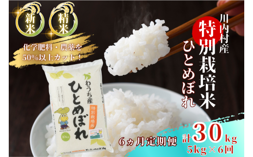 【ふるさと納税】数量限定 【定期便6回】 特別栽培米 ひとめぼれ 5kg×6ヵ月 （令和7年度かわうち産）