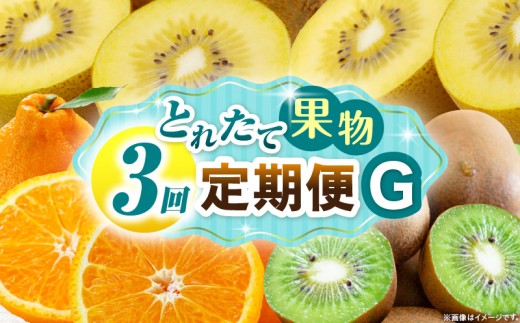 とれたて果物 3回定期便G 果物 フルーツ 果物定期便 フルーツ定期便 定期便 キウイ デコポン 濃厚 旬の果物 定期 人気 おすすめ 贈答 贈り物 青果物 糖度 香川県 _mk165-t071 2246287 - 香川県三木町