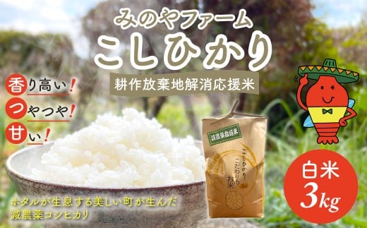 令和7年産新米 こしひかり 3ｋｇ（白米） みのやファーム耕作放棄地解消応援米  【 コシヒカリ こしひかり おいしい お米 米 こめ 自然栽培 贈り物 ギフト 千葉県 御宿町 人気 おすすめ ランキング 】 ONJF002