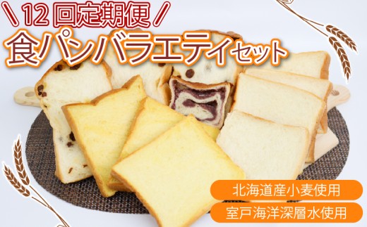 12回定期便 食パンバラエティセット【室戸海洋深層水仕込み】4斤×12回 食パン ぱん 朝食 ギフト 定期便 人気 食事パン おやつ レーズン ぶどう ドライフルーツ かぼちゃ あんこ セット バラエティ 頒布会