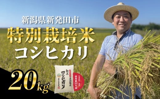 【新米とれたて便】9月下旬～10月発送 新潟県産 特別栽培米 コシヒカリ 20kg （5kg×4袋） 令和7年産 こしひかり 特栽米 米 新米 月岡 温泉 お米 こめ ご飯 ごはん おいしい 新潟米 新潟 新潟県 米 新発田産 新潟産 朝食 昼食 夕飯 炊きたて 精米 watasho006_202510