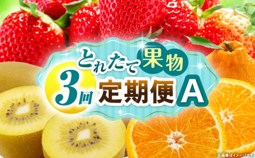 とれたて果物 3回定期便A 果物 フルーツ 果物定期便 フルーツ定期便 定期便 いちご キウイ デコポン濃厚 旬の果物 定期 人気 おすすめ 贈答 贈り物 青果物 糖度 香川県 _mk165-t065 2246272 - 香川県三木町