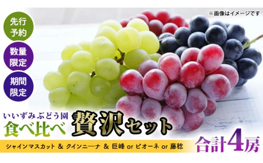 【 先行予約 】【 数量限定 】【 期間限定 】絶品！いいずみぶどう園の おすすめ ぶどう 4種 （ シャインマスカット ＆ クインニ―ナ ＆ 巨峰 or ピオーネ or 藤稔 ）食べ比べ 贅沢セット（ 合計 4房 ） 2025年8月下旬～発送開始 シャインマスカット クインニ―ナ 巨峰 ピオーネ 藤稔 贅沢 産直 新鮮 採れたて ふるさと納税