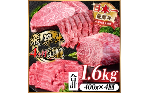 ＜毎月定期便＞飛騨牛 赤身定期便 計1.6kg 焼肉 BBQ すき焼き しゃぶしゃぶ ブロック全4回【4072648】 2243128 - 岐阜県羽島市