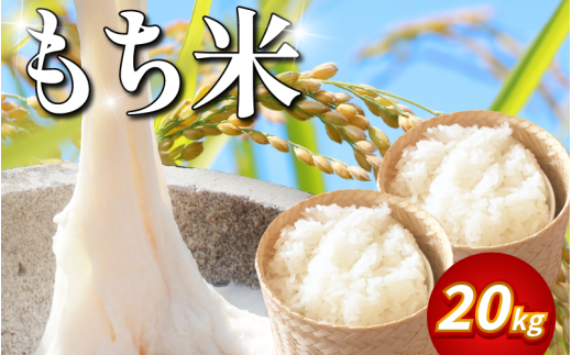 [ 20kg ] 米 もち米 20kg 新米 令和7年産 餅 赤飯 おはぎ 備蓄 備蓄米 保存 防災 災害 おこわ 雑煮 大福 あられ イベント 餅つき 先行予約 阿波市 徳島県