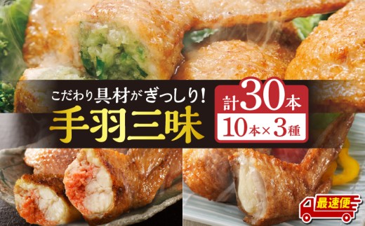 【最速便】手羽先3種セット(手羽先餃子・手羽先明太・手羽先チーズ)各10本入り_M025-001-02-2W 2104482 - 宮崎県宮崎市