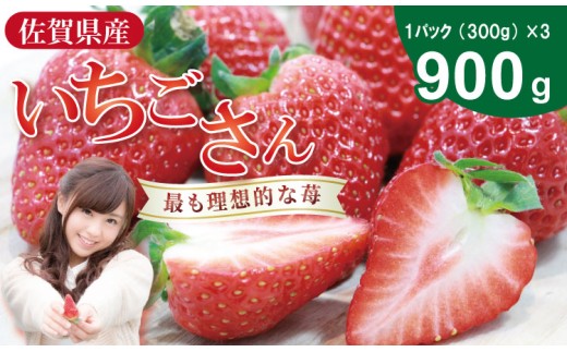 【先行予約令和8年2月配送開始】いちごさん 3箱セット（合計 900g） ふるかわ農園  苺 甘い 酸っぱい いちご いちごさん イチゴ 2パック 苺 人気 佐賀 佐賀県  小城市