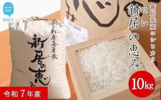新米 白米 令和7年産 「新居の恵み（コシヒカリ）」 10kg えひめ未来農業協同組合ブランド米