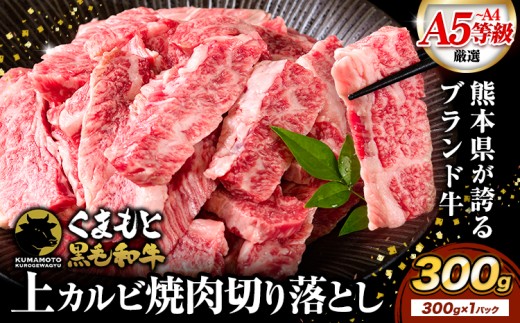 A4-A5等級 黒毛和牛 切り落とし 上 カルビ 焼肉 切り落とし 300g《7-14日以内に出荷予定(土日祝除く)》くまもと黒毛和牛 熊本県 苓北町 上カルビ 焼肉用 黒毛和牛 焼肉 肉 お肉 和牛 A5 A4 小分け 2261777 - 熊本県苓北町