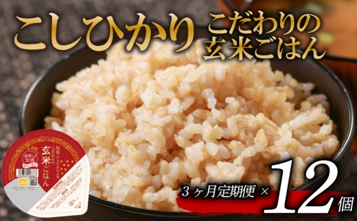定期便 3回 こしひかり 玄米ごはんパック 120g 12個 玄米 米 お米 ごはん ご飯 こめ パックライス パックご飯 パックごはん ご飯パック ごはんパック パック ライス 備蓄 保存 非常 防災 電子 レンジ 温めるだけ レンチン 簡単 健康 ダイエット 美容 ヘルシー 12 12食 レトルト インスタント おいしい 人気 おすすめ 大阪 松原 2261654 - 大阪府松原市