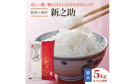 令和7年産 先行予約 新潟上越産 新之助 【6ヶ月連続お届け】 5kg×6回 30kg 6か月 しんのすけ シンノスケ 米 お米 こめ おすすめ 人気 ふるさと納税 新潟 新潟県産 にいがた 上越 上越産 定期便 送料無料