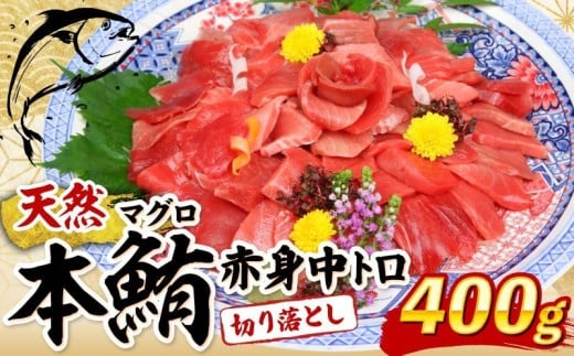 天然本マグロ 中トロ 赤身 切り落とし 400g 小分け(100g×4パック) 訳あり マグロ 刺身 カルパッチョ まぐろ丼 まぐろ漬け丼 魚 惣菜 海鮮丼 魚介類 食べきりサイズ 父の日 冷凍 不揃い クロマグロ 黒マグロ 10000円