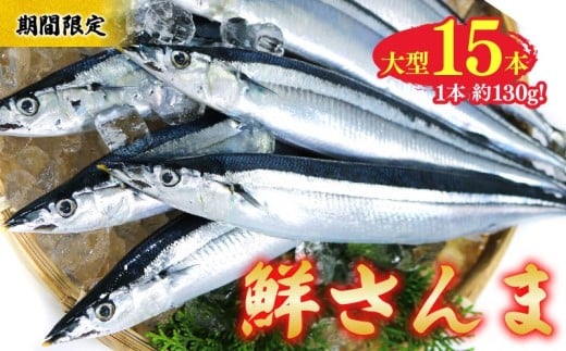 【期間限定】鮮さんま 大型 15本 (1本約130g) 冷蔵 大船渡 三陸 産地直送 岩手県 