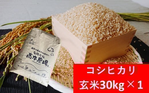 【R7新米】高本さんちのお米 コシヒカリ 玄米 30kg×1袋 令和7年産 新米 減農薬 コシヒカリ お米 安心 安全 良質 特別栽培米 美味しい 高本農場 2243286 - 兵庫県朝来市