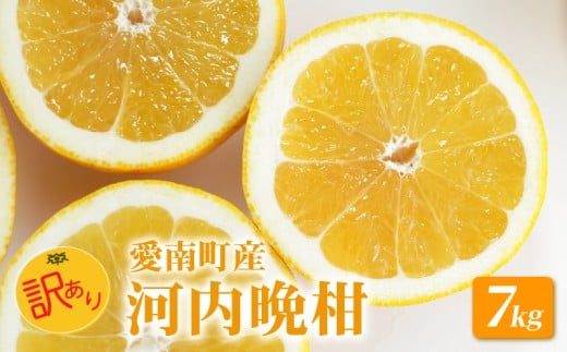 【 先行予約 】 訳あり 河内晩柑 7kg 送料無料 わけあり ワケアリ 不揃い 愛媛 愛南町産 愛南ゴールド 和製 グレープフルーツ みかん 蜜柑 柑橘 柑橘類 フルーツ 果物 くだもの 食品 食べ物 お取り寄せ グルメ 家庭用 ジューシーフルーツ 美生柑 生食 ジュース ゼリー ジャム スムージー ビタミンC 旬 愛媛県 愛南町 山口農園