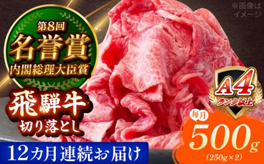 【12回定期便】 飛騨牛 切り落とし 500g (250g×2) 瑞浪市 / 肉のひぐち [AZDE017]