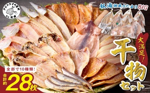 松浦・潮風のたより Ｂｉｇ( 松浦市 アジ イカ サバ カマス レンコダイ 干物 アジ開き サバフィレ 一夜干し 詰め合わせ )【B5-118】
