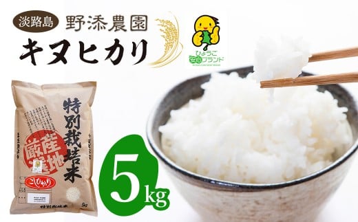 野添農園のキヌヒカリ 5kg「ひょうご安心ブランド」精米 白米 お米
