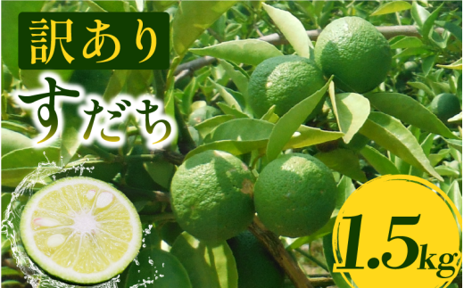 訳あり すだち 1.5kg 家庭用 2025年9月上旬～9月中旬 順次発送 スダチ 旬 果実 果汁 みかん 柑橘 フルーツ 酸味 すっぱい 徳島 人気 オススメ お取り寄せ グルメ ハイボール 焼酎 ビール からあげ さんま 刺身 魚 天ぷら 送料無料 徳島県 吉野川市