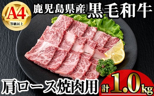 【数量限定】鹿児島県産黒毛和牛A4等級以上肩ロース焼肉用 (計1.0kg＋黒毛和牛こま切れ250g×2P) 鹿児島県産 牛肉 冷凍 【KNOT】 B198-v01