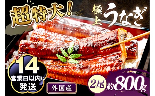 超特大！ふっくら肉厚！うなぎ蒲焼 2尾 合計800g前後　YK00403