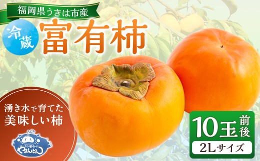 【先行予約】やまんどん 冷蔵富有柿 2Lサイズ 10玉前後 2025年12月中旬から12月下旬 出荷予定