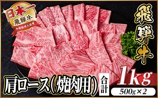 レビューキャンペーン実施中!飛騨牛　厳選肩ロース(焼肉・BBQ用)1kg　A4～A5等級　小分け【1487296】