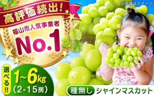 シャインマスカット【選べる容量】1.0～6.0kg 《令和7年9月上旬〜9月下旬頃発送》果物 フルーツ ブドウ ぶどう シャインマスカット しゃいんますかっと 広島県福山市/沼隈グリーンセンター[BAEV004]