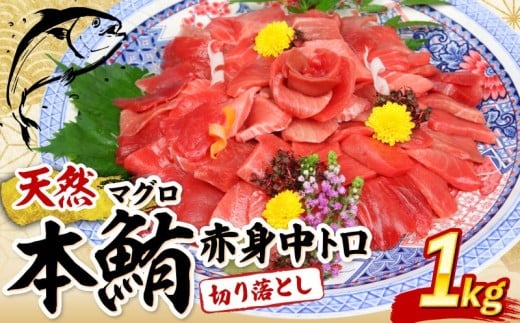天然本まぐろ 赤身 中とろ 切り落とし 1kg 小分け (100g×10パック) 訳あり マグロ 刺身 カルパッチョ まぐろ丼 まぐろ漬け丼 魚 惣菜 海鮮丼 魚介類 父の日 食べきりサイズ 冷凍 不揃い 25000円